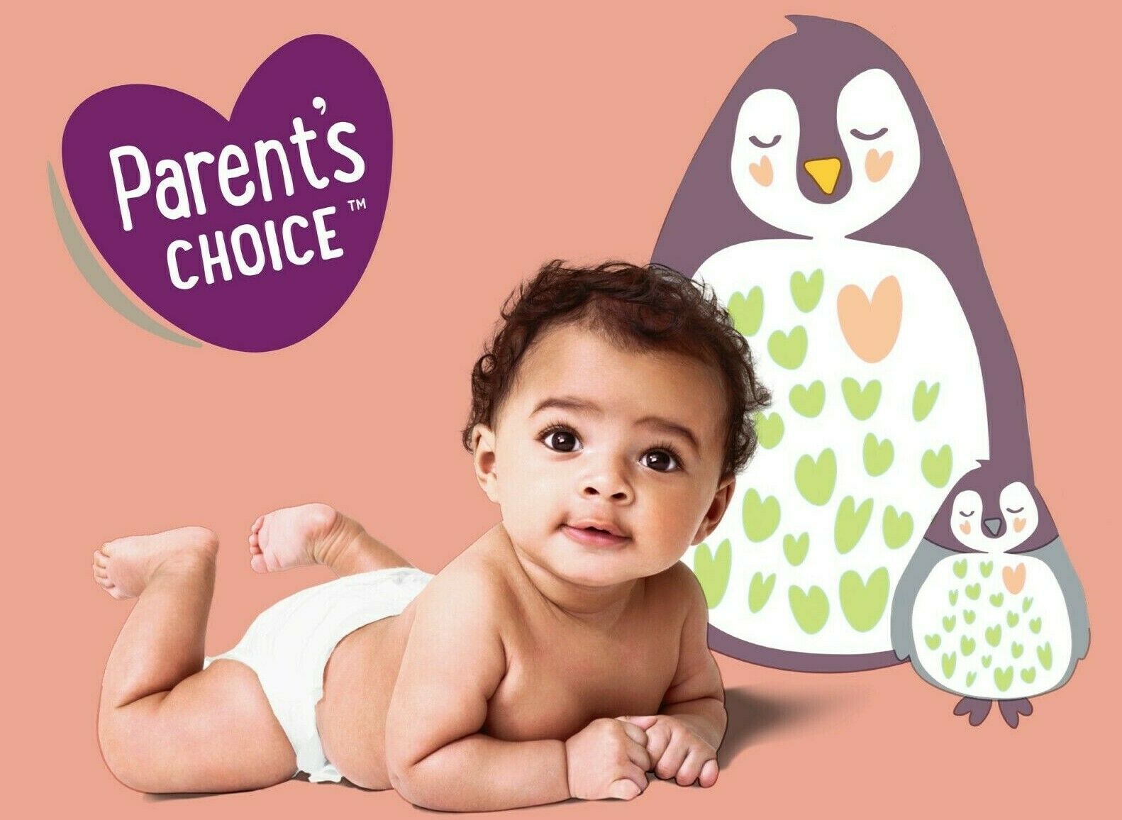Parent's Choice Disposable Diapers *size Newborn 1, 2, 3, 4, 5, 6, 7